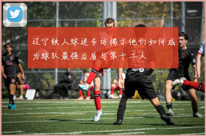 辽宁铁人球迷专访揭示他们如何成为球队最强后盾与第十二人