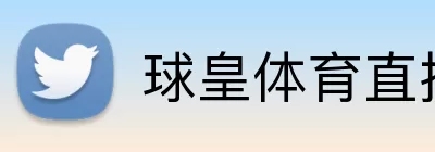 球皇体育直播官网 logo